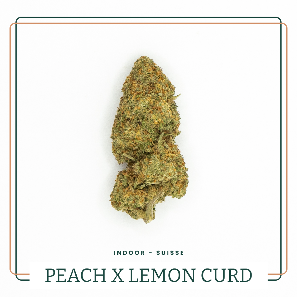 Peach x Lemon curd 🍑