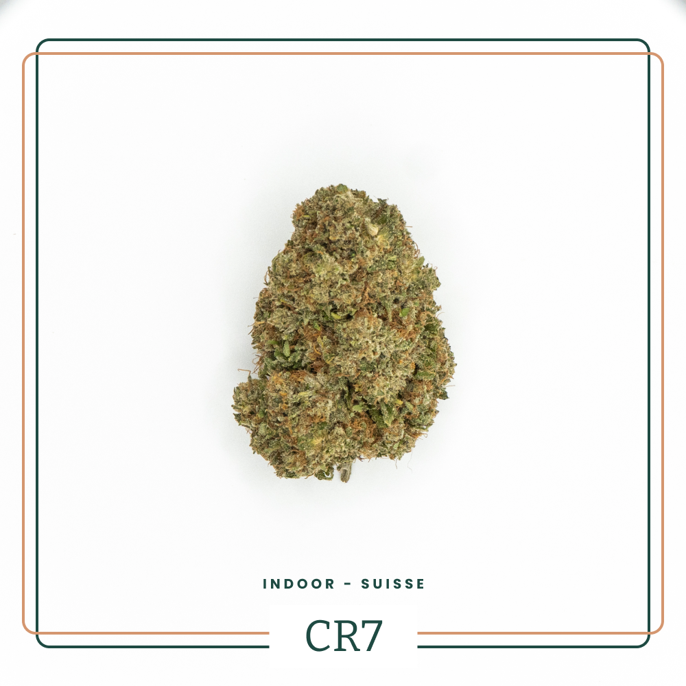 Fleur CBD CR7 Indoor Premium AOMA Grossiste