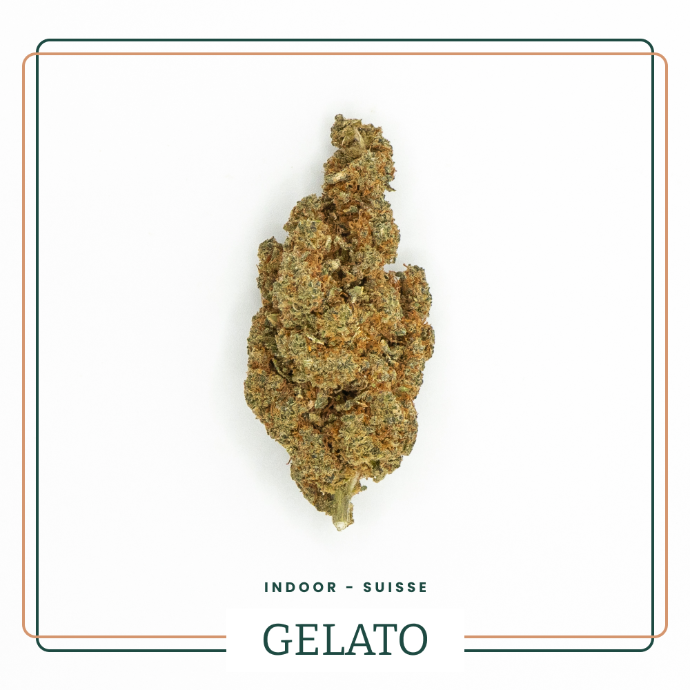 Gelato 🍦