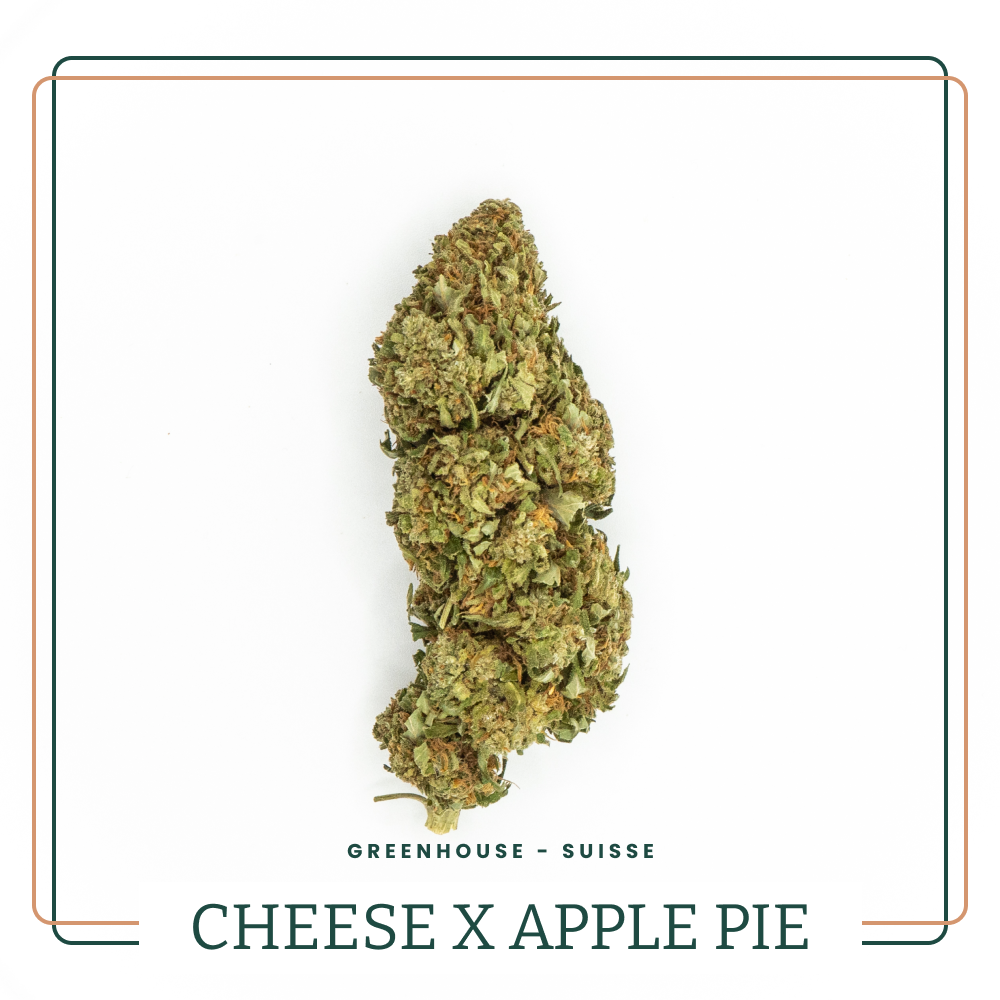 Cheese x Apple Pie 🥧