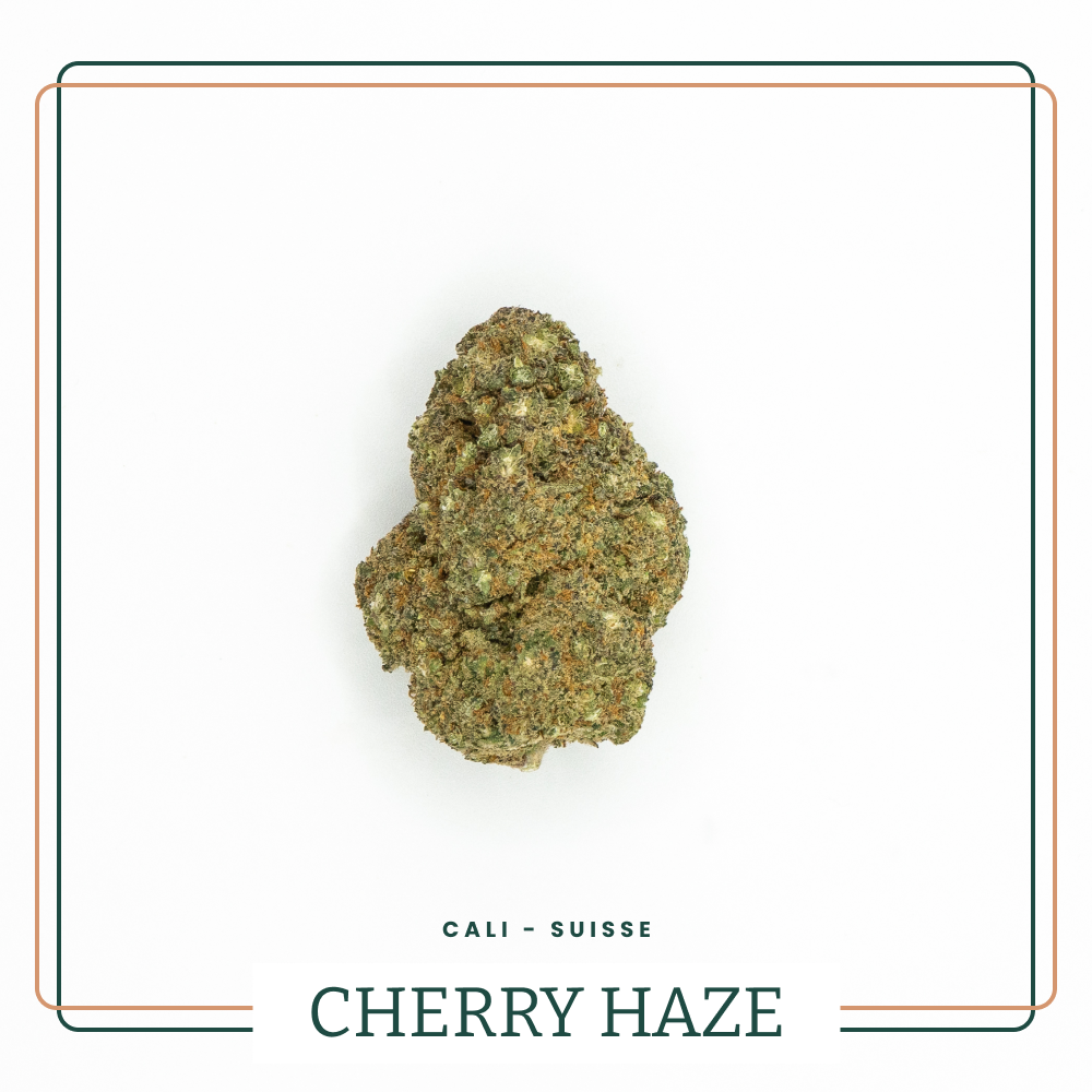 Cherry Haze 🍒