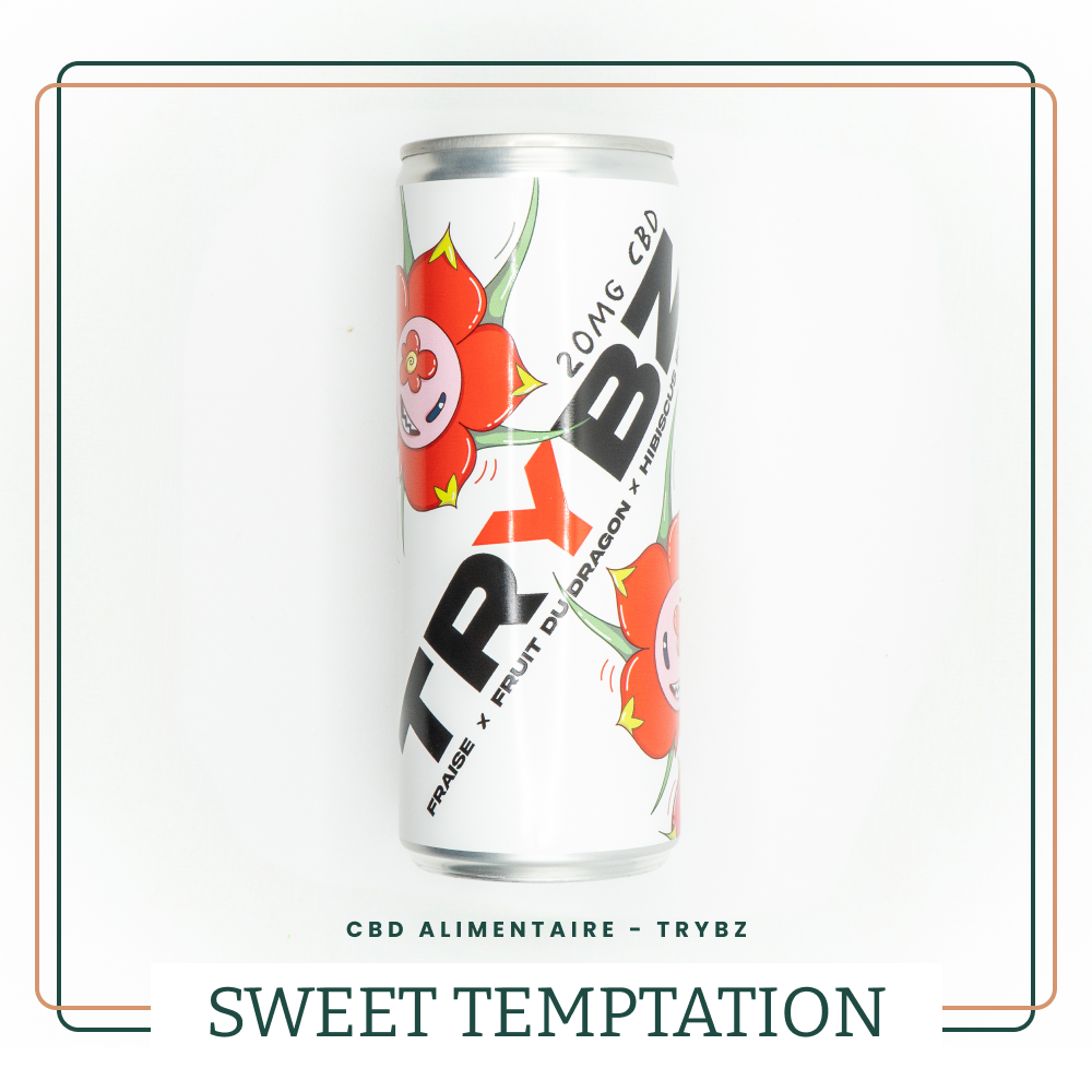 TRYBZ - Sweet Temptation
