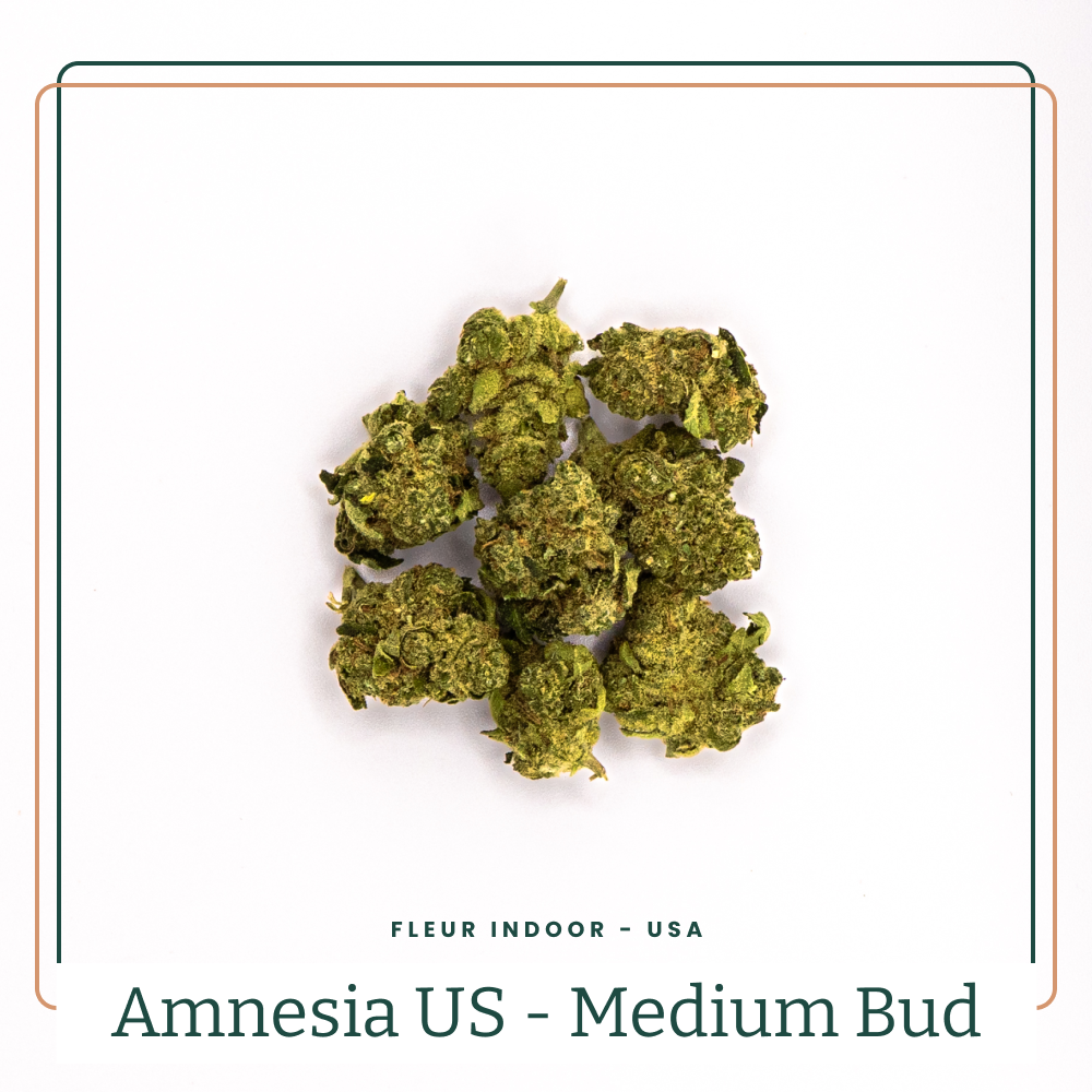 Amnesia - Medium buds 😶🌫️