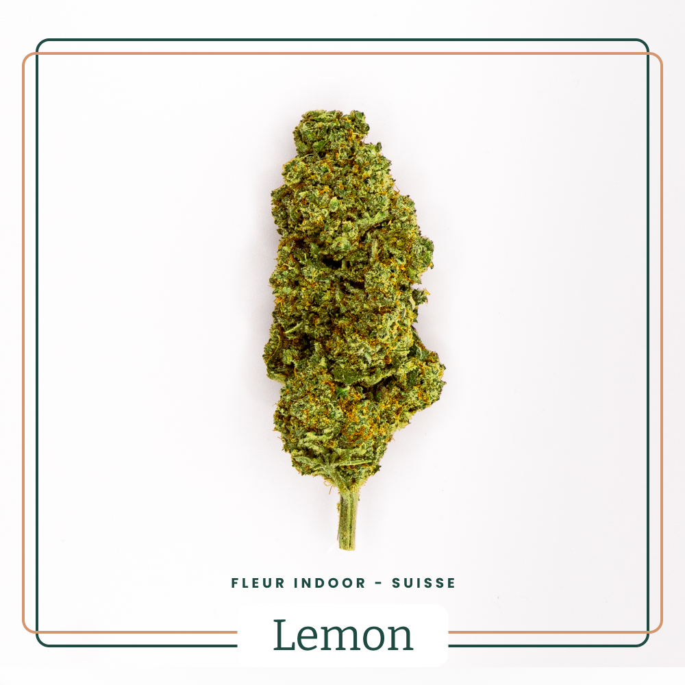 Fleur CBD Lemon Pop Indoor Premium Suisse AOMA