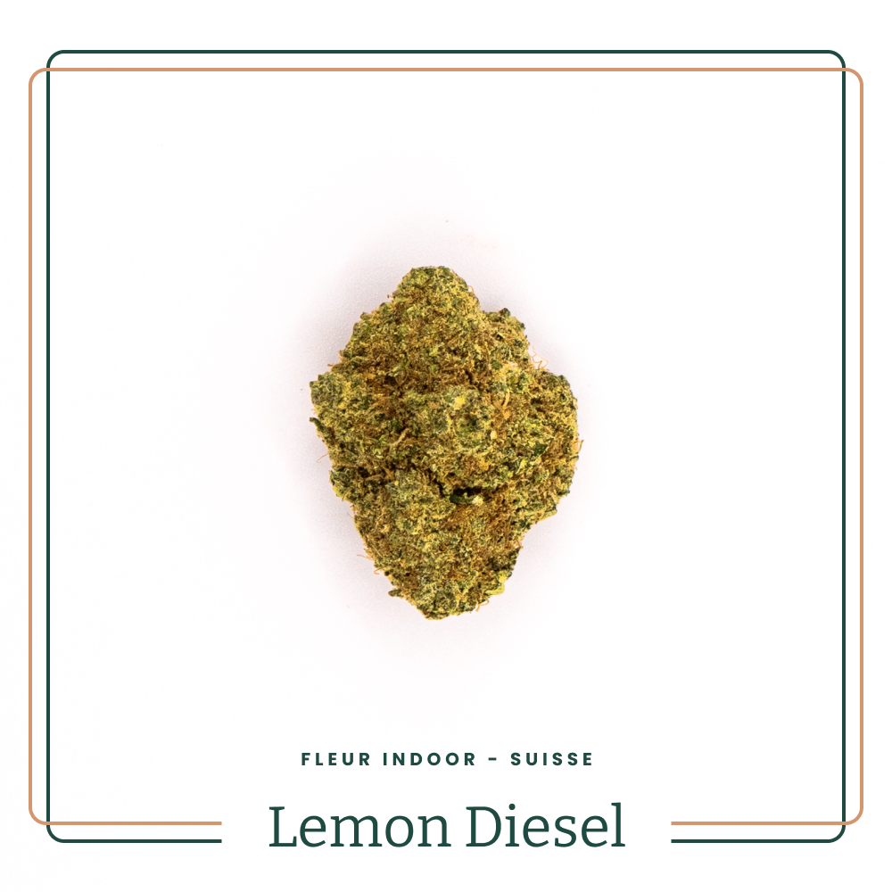 Lemon Diesel 🍋