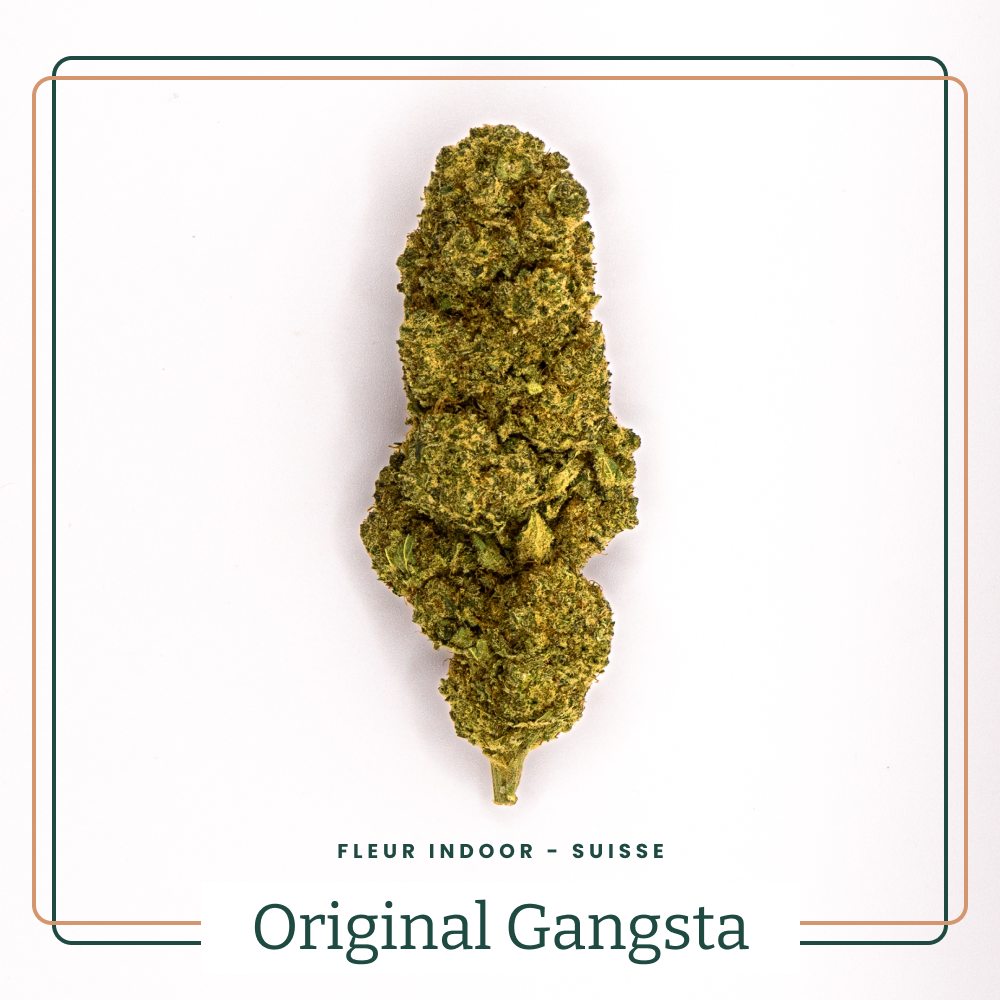 Fleur CBD Original Gangsta Indoor Big Medium Buds AOMA