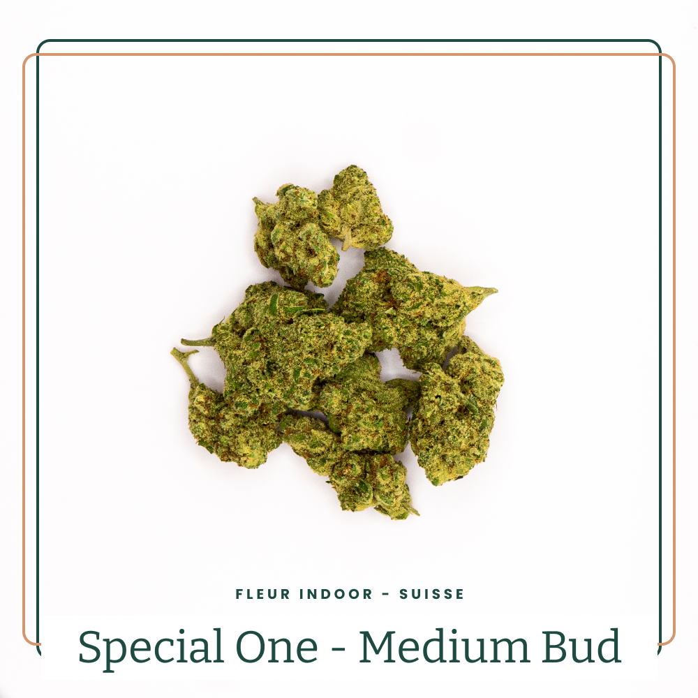 The Special One - Medium Buds 🏆