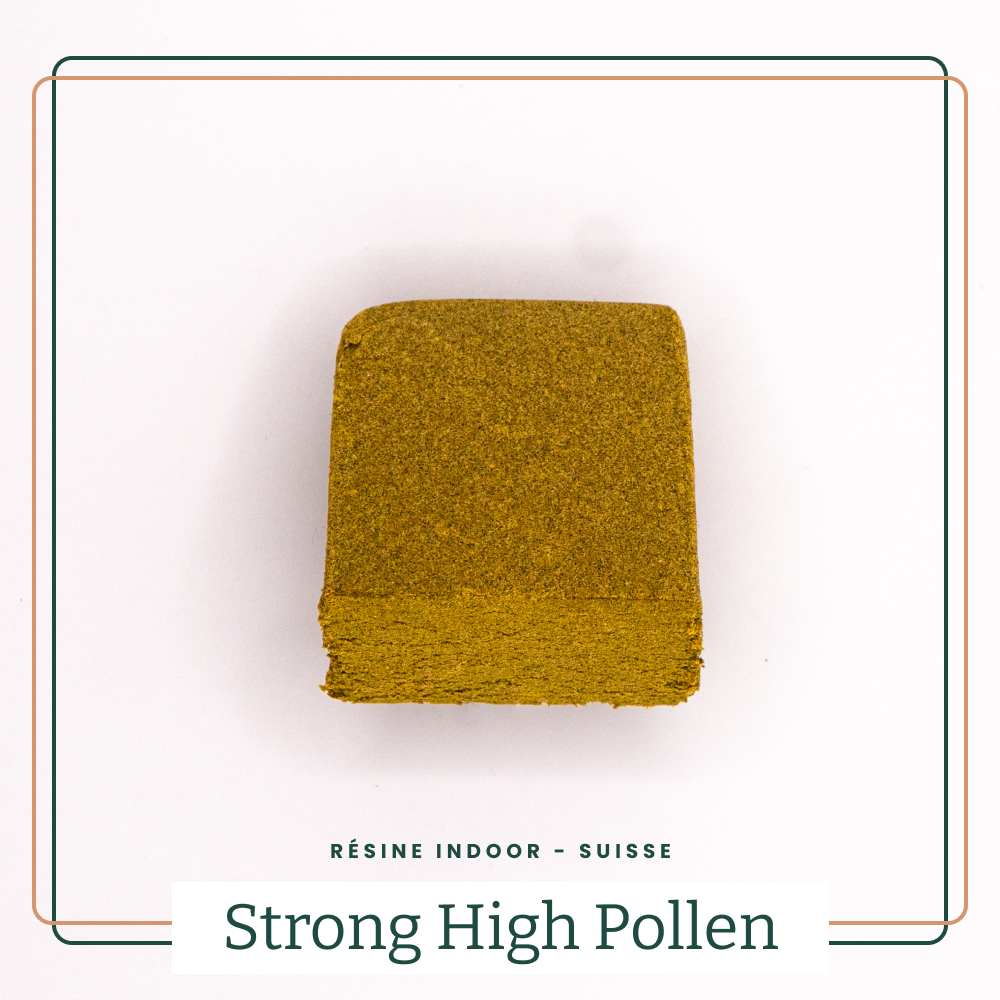 Strong High Pollen 🫠