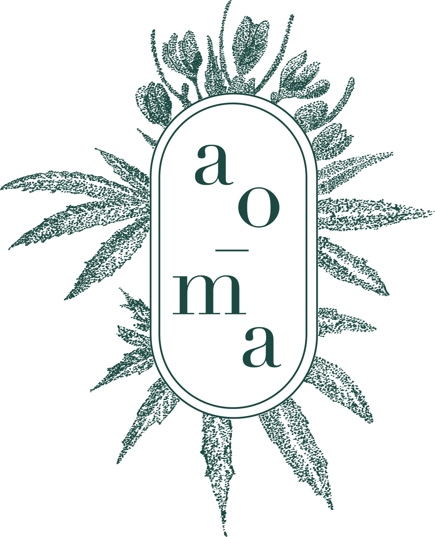 AOMA