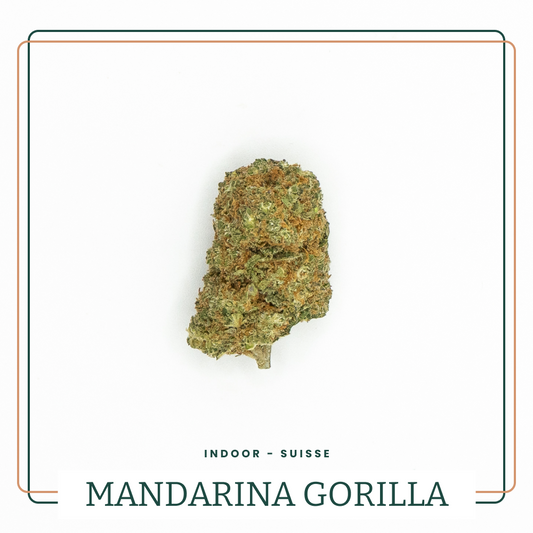 Fleur CBD Mandarina Gorilla Cali AOMA