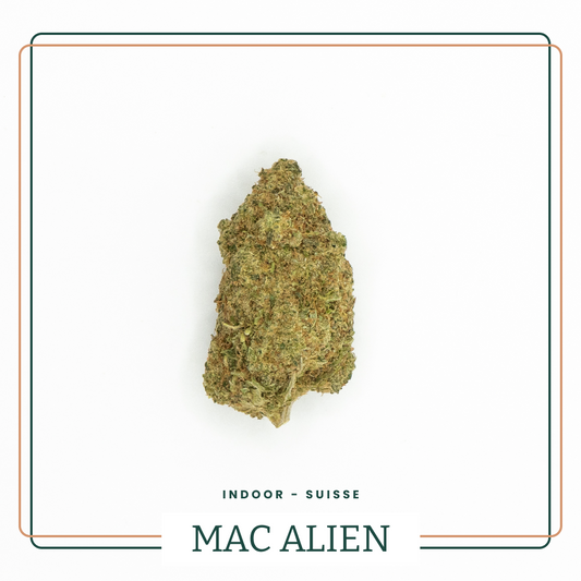 Fleur CBD Mac Alien Cookies Indoor AOMA