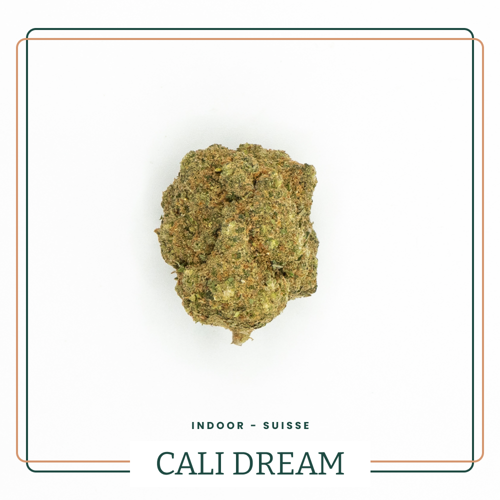 Cali Dream 🌴