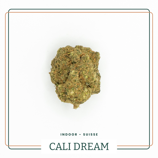 Cali Dream 🌴