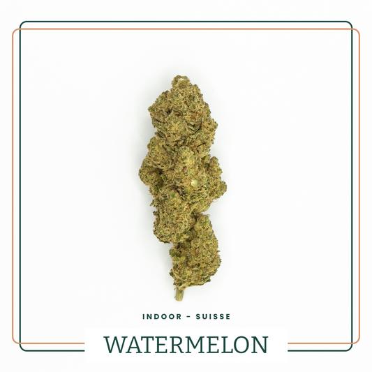 Fleur CBD Watermelon Skittles Indoor Premium AOMA Grossiste