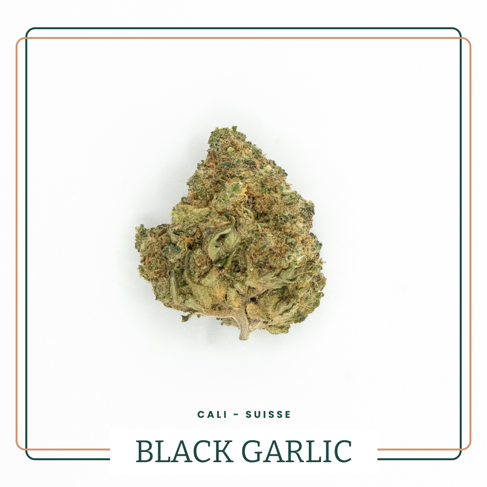 Fleur CBD Black Garlic Indoor Premium AOMA Grossiste