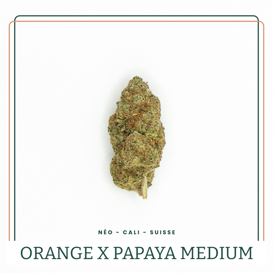 Fleur THS Greenhouse Orange Papaya Medium Néo AOMA