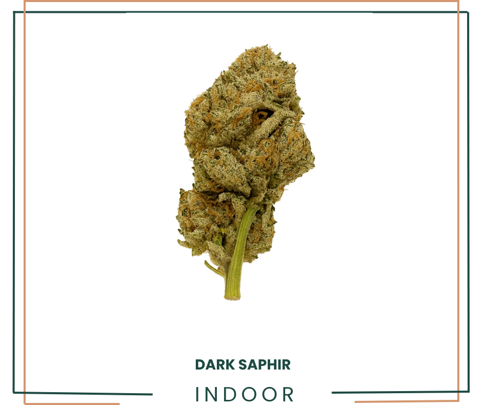 Fleur CBD Dark Saphir Indoor Premium AOMA Grossiste