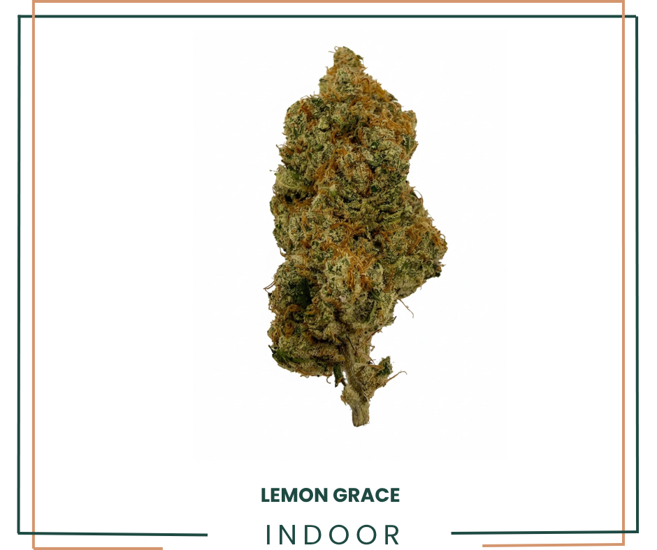 Fleur CBD Lemon Grace Indoor Premium AOMA Grossiste