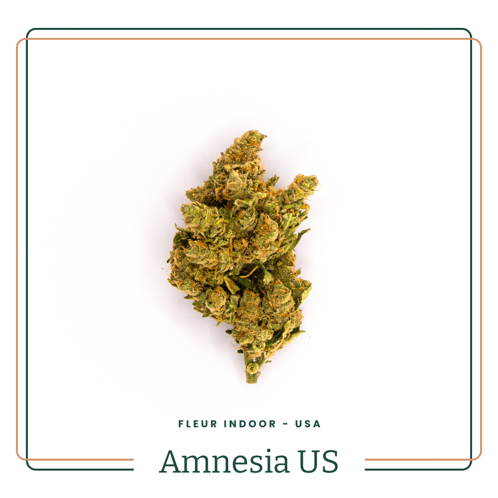 Amnesia 😶‍🌫️