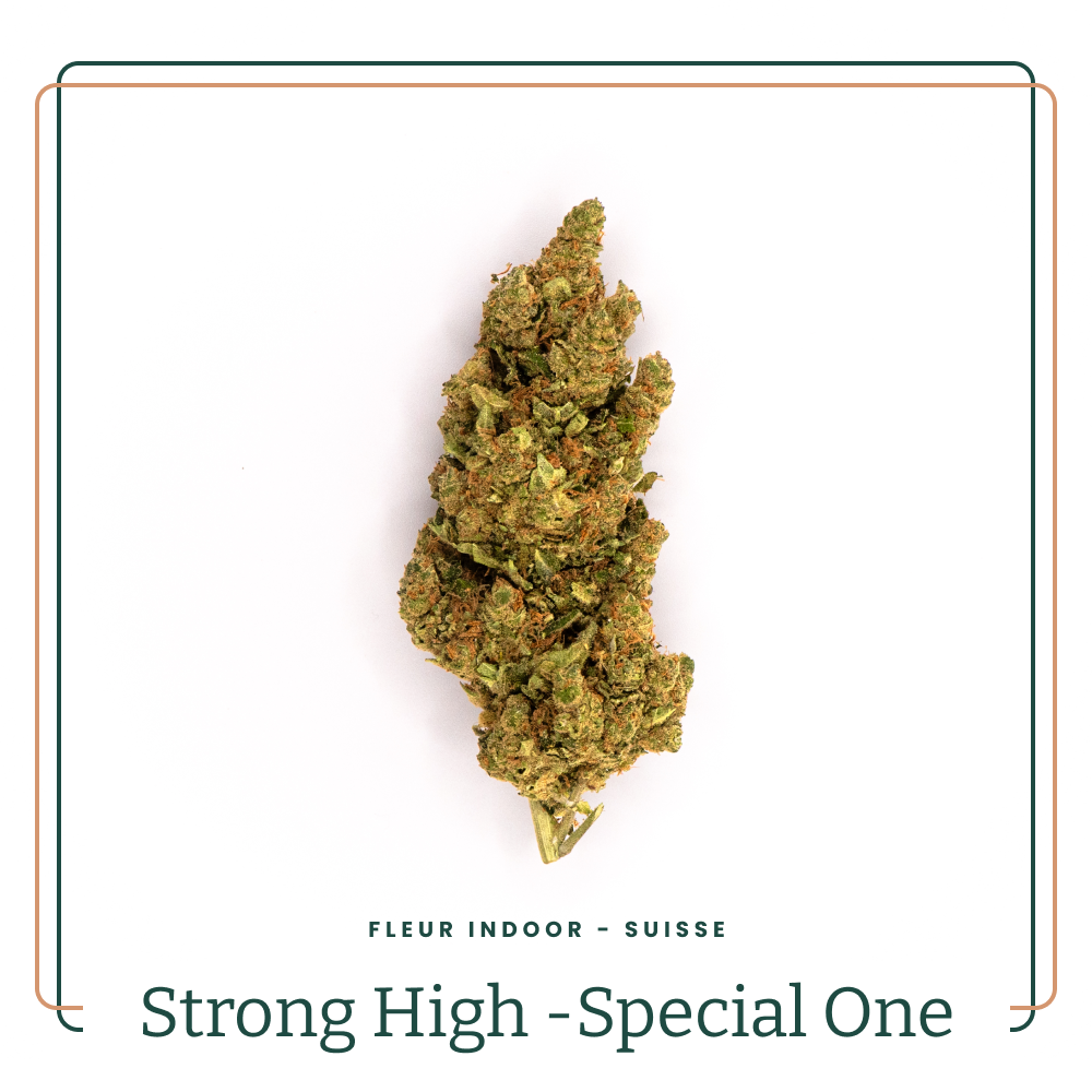 Strong High - Special One 🤯