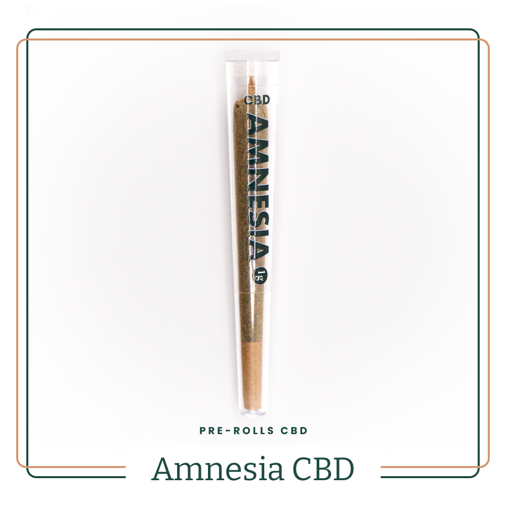 Préroulés CBD Amnesia Indoor AOMA Grossiste