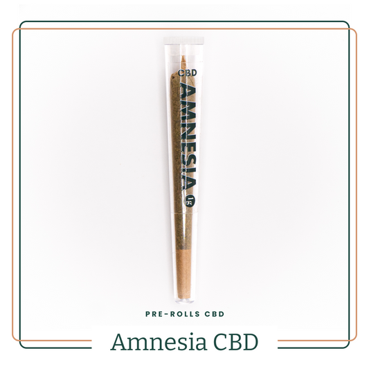 Préroulés CBD Amnesia Indoor AOMA Grossiste